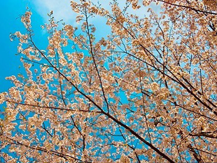 令和2年度入社式の写真